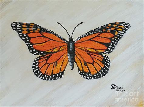 Monarch Butterfly At Dawn Painting By Matt Starr Fine Art America