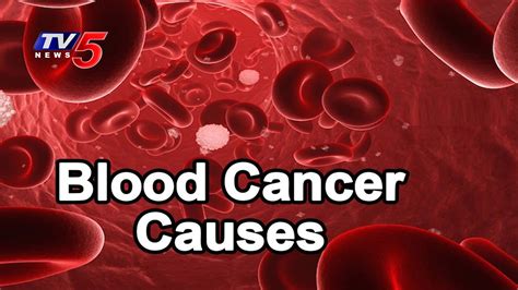A cancer may also cause symptoms like fever, extreme tiredness (fatigue), or weight loss. Causes And Symptoms OF Blood Cancer | Yashoda Hospitals ...
