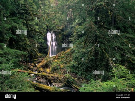 Lower Parker Falls Umpqua National Forest Oregon Stock Photo Alamy