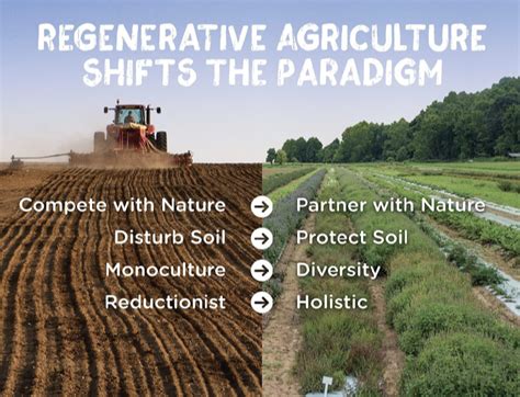 What Is Regenerative Agriculture — Regenerate Your Reality