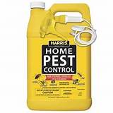 Harris Home Pest Control Kills Scorpions Pictures