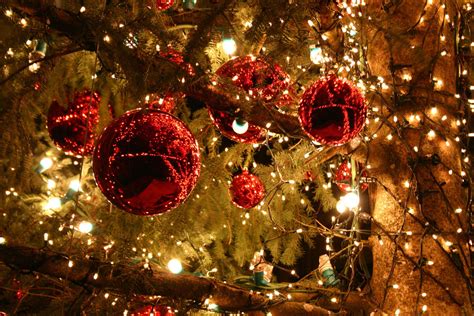 Free photo: XMAS - Christmas, Claus, Holiday - Free Download - Jooinn