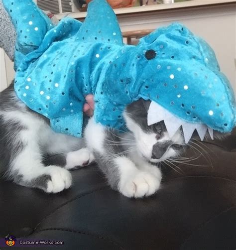 shark kitten costume best halloween costumes