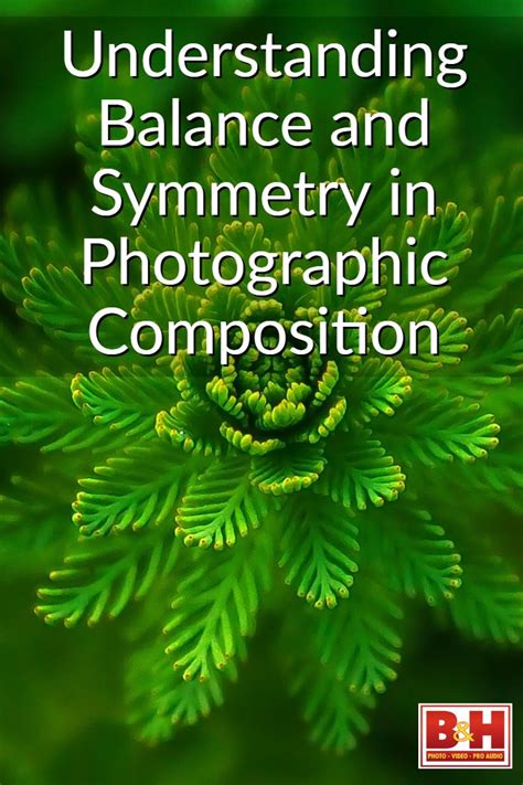 Understanding Balance And Symmetry In Photographic Composition
