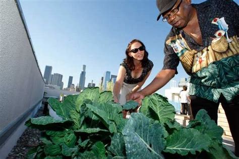 Los angeles pest control services are rated 4.78 out of 5 based on 2,409 reviews of 52 pros. A roof full of vegetables at the Cobb apartments on skid ...