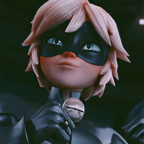 The Best 21 Aesthetic Icons Cat Noir Aesthetic Pfp - gardening3p3