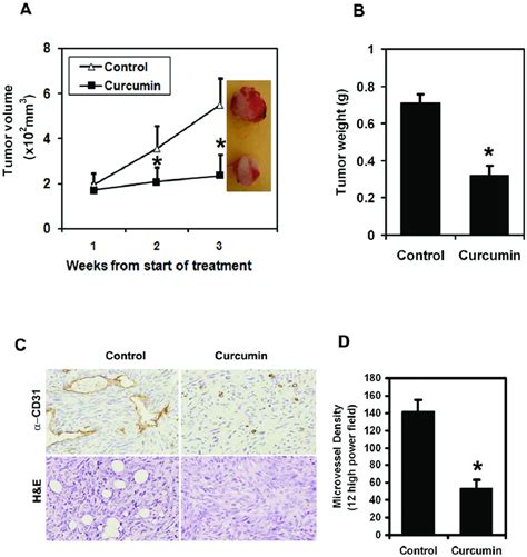 Curcumin Inhibits Growth Of Pan02 Tumor Xenografts A Nude Mice