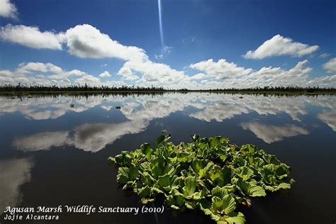 Bunawan Agusan Marsh Wildlife Sanctuary