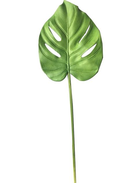 Interested in wholesale pricing for silk flowers, artificial plants, & fake trees? real touch monstera leaf 69cm tall - Artificial flower ...