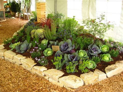 Son muchas las ideas naturales con las que puedes adquirir el nivel de color que quieres con tus cactus, sin alterar sus condiciones saludables. OPINION: Building an edible garden from scratch | Randburg Sun