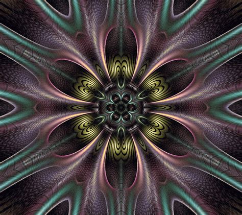 1080p Free Download Night Bloom2 Abstract Art Awesome Bonito