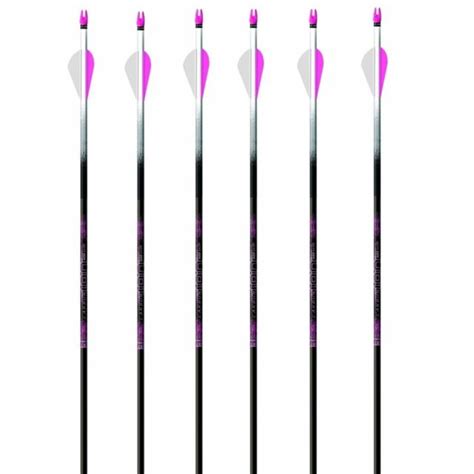Easton Carbon Ion Pink 600 Arrows 2 Blazer Vanes With H Nocks 820773