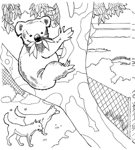 You can print or color them online at getdrawings.com for absolutely free. Kids-n-fun.com | 11 coloring pages of Koala bears