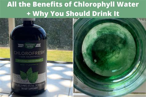 The Benefits Of Drinking Chlorophyll Water — Lauren Jean