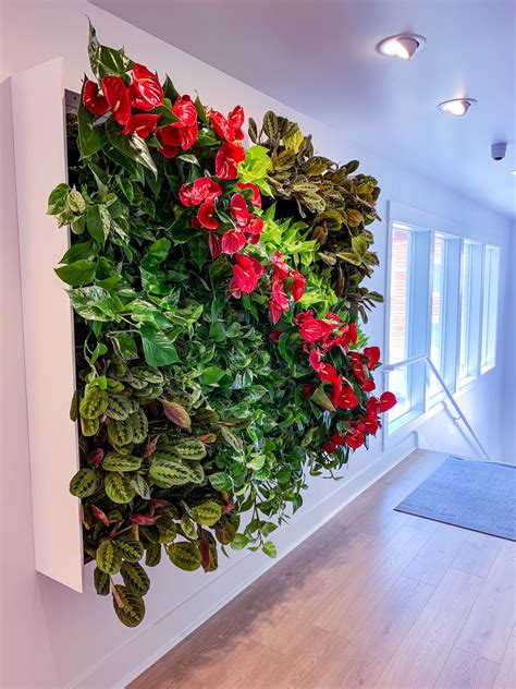 Interior Plant Arrangements Interior Plants Green Wall Living Wall