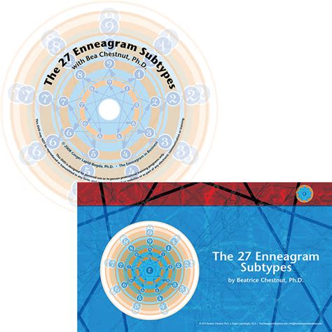 The 27 Enneagram Subtypes DVD Set - The Enneagram in Business