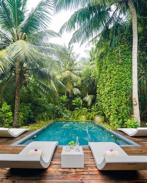 Set Up For Two 🌴 📷 Michutravel Tropical Pool Landscaping