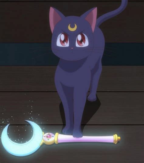 Luna Sailor Moon Bishoujo Senshi Sailor Moon Image 2471702