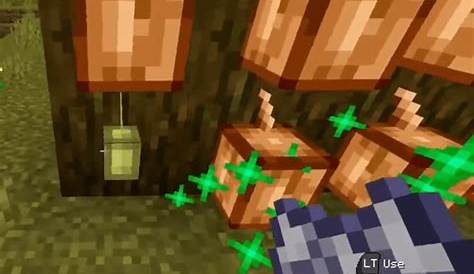 how to plant cocoa beans in minecraft