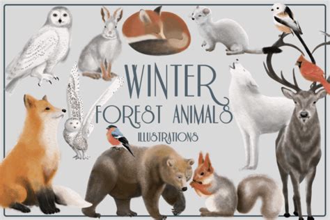 Winter Forest Animals Clipart Graphic By Beleo Art · Creative Fabrica