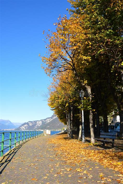 Autumn Front Lake With Yellow Leaves On Ground Lake Como In Fall