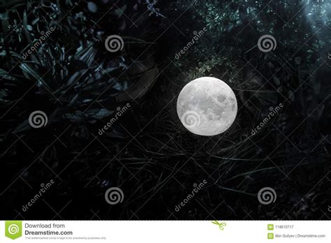 Surreal Fantasy Concept Full Moon Lying In Grass