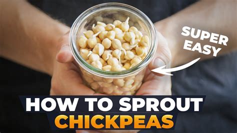 how to sprout chickpeas and why you should do it benefits of sprouting explained youtube