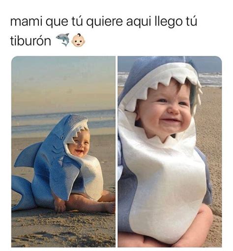 Mami Que Tú Quiere Aqui Llego Tú Tiburón Memes
