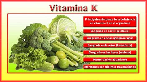 La Importancia De La Vitamina K Dietetica Ferrer