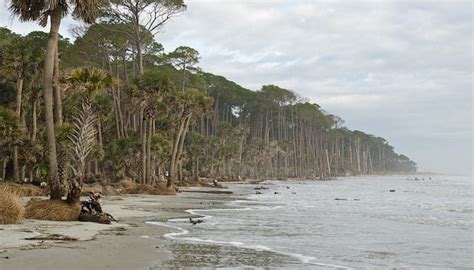 Hunting Island State Park Great Runs