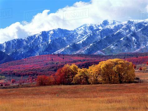 Utah Usa Autumn Snow On Wellsville Mountains Above Field And Groves