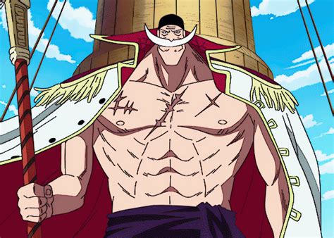 One Piece Whitebeard S Get The Best  On Giphy My Xxx Hot Girl