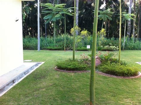 It is being developed by teladan setia sdn bhd.1 this development mostly consists of detached (bungalow). Jerry Yong Property Listing: Belimbing Setia, Melaka ...
