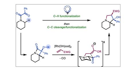Ch Cc Functionalization Approach To N Fused Heterocycles From