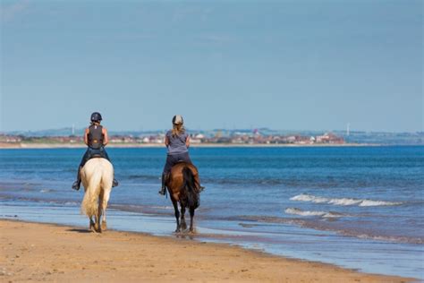 Horse Riding On Beach Free Stock Photo Public Domain Pictures