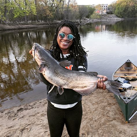 Nice Channel Catfish In The Mississippi River Mn Rcatfishing