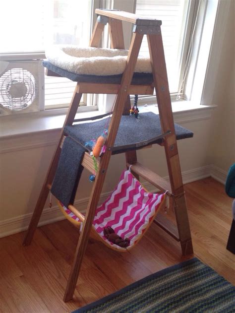 Diy Cat Tree Made From An Old Wooden Ladder Outdoor