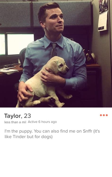 Funny Guy Tinder Bios Anne Sofienord