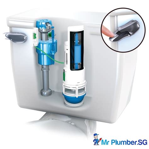 Different Types Of Flush Systems In Singapore Mr Plumber Singapore Recommended Affordable