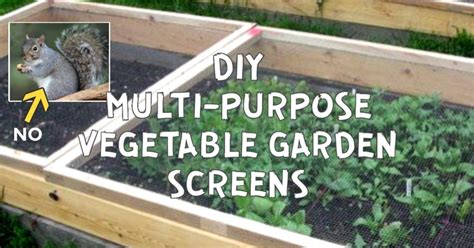 Apr 26, 2021 · one way to deter these critters without a fence is to grow a border of plants they dislike. Keep Critters Out of Veggie Beds with These Screens ...