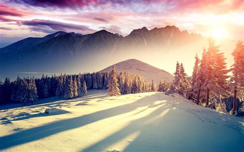 Mountain Covered By Snow Forest Hd Wallpaper Wallpaper Flare