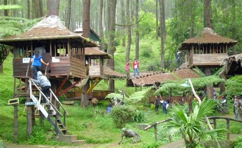 wisata rumah pohon bekasi objek wisata  lengkap  keluarga