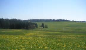 Freuen sie sich auf echte entspannung im stilvollen ambiente des hauses lug ins land. Haus Lug ins Land » Preise