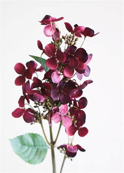 Dramatic burgundy and cream hydrangeas with berries and tea leaves in a glass cylinder accented with green pears and lifelike artificial white hydrangea in large black cube ceramicby house of silk flowers, inc(6). Artificial Cone Hydrangea Fall Flowers in Burgundy Plum ...