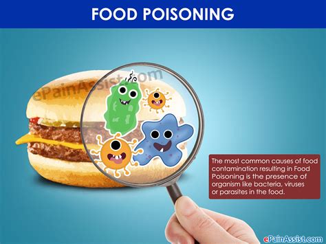 Onset Of Food Poisoning And How Long Does It Lastcauses Symptom