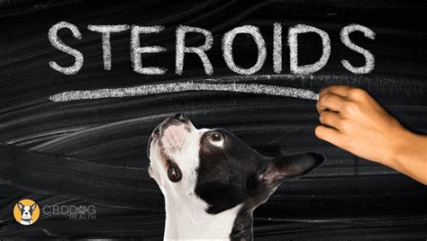 Do Steroids Help Dogs With Arthritis