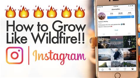 How Can I Grow My Instagram Followers Organically Hack