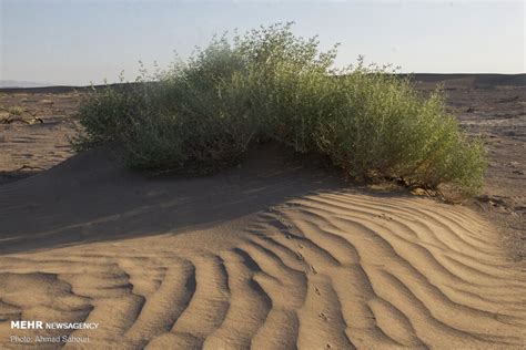 Mehr News Agency Shoorab Desert In Semnan Province