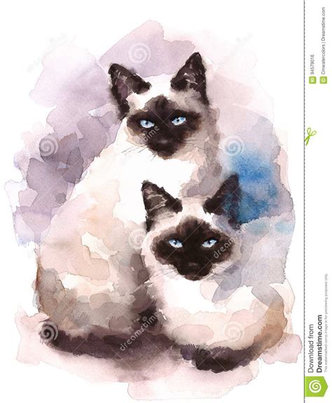 Siamese Cats Watercolor Hand Painted Pet Portrait Illustration Stock