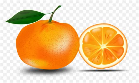 Slice Of An Orange Icons Png Orange Slice Png Stunning Free